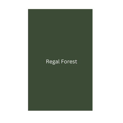 Matte Finish Flat Panel Door - Sample